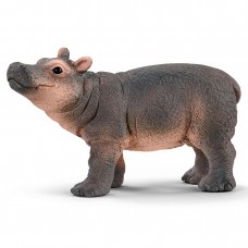 Hippopotamus baby
