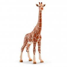 Giraffe - Hun