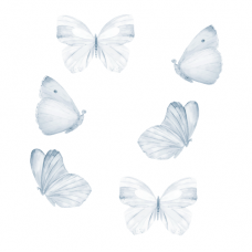Wallstories - Blå sommerfugler - sett med 6 stk