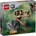 LEGO Jurassic World 76964 Dinosaur Fossils: T. rex hodeskalle